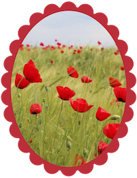 Coquelicot