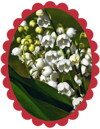 Muguet